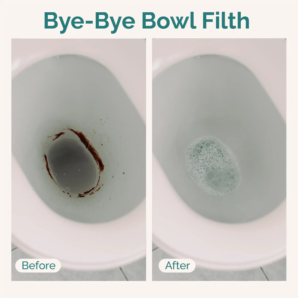 Filthy Clean Toilet Cleaning Sheets - Before and After